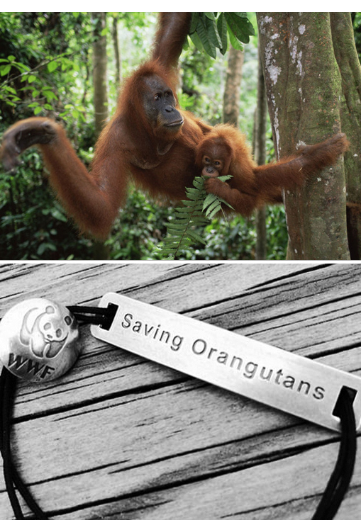 wwf-orangutang